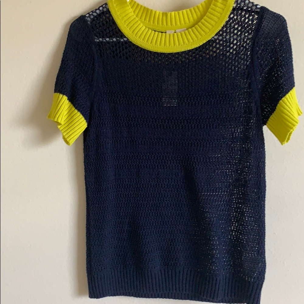 Anthropologie Sweater tee